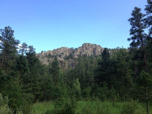 A rocky mountain peak rises above a dense forest of pine trees under a clear blue sky.