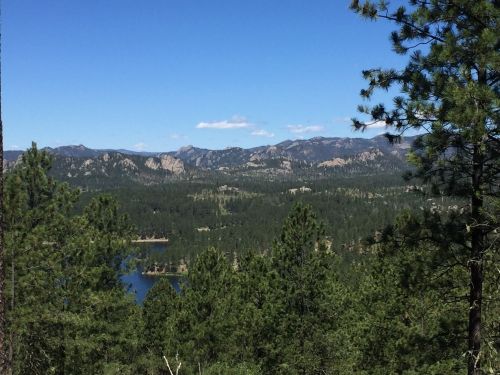 A scenic view of mountains and a lake surrounded by lush green trees under a clear blue sky.