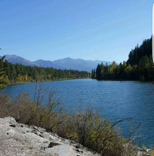 A serene river flows through a landscape of trees and mountains under a clear blue sky.