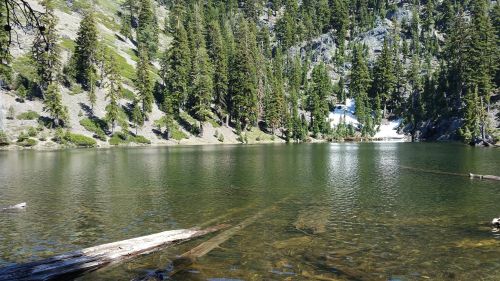 A serene lake surrounded by tall trees and rocky hills, with a log partially submerged in the clear water.