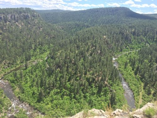 A lush green landscape with winding rivers surrounded by dense forests and rocky hills under a blue sky.