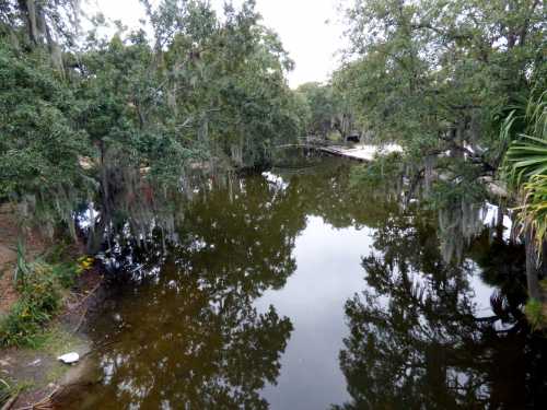 A tranquil river scene surrounded by lush trees, reflecting the greenery and a cloudy sky above.