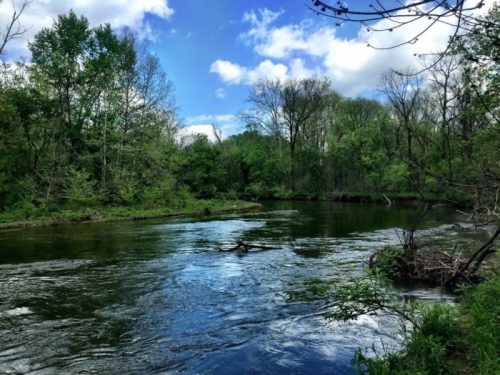 A serene river flows through lush green trees under a partly cloudy blue sky.