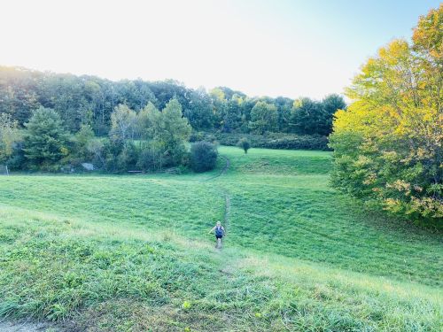 A person walks along a grassy path through a lush green field, surrounded by trees in autumn colors.
