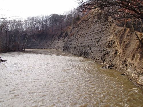 A river flows beside a steep, layered bank with trees in the background, showcasing natural erosion and geological features.