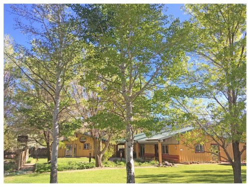 A yellow house surrounded by green trees and a clear blue sky, set in a lush, grassy area.