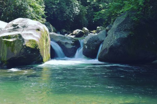 A serene river flows over rocks, surrounded by lush greenery and trees, creating a peaceful natural scene.