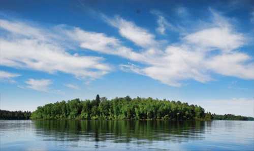 A serene lake scene featuring a lush green island under a bright blue sky with scattered clouds.