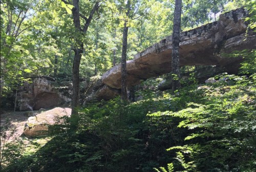 A natural stone bridge surrounded by lush green trees and foliage in a forested area.