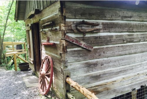 A rustic wooden cabin with a wagon wheel, signs, and a porch surrounded by greenery.
