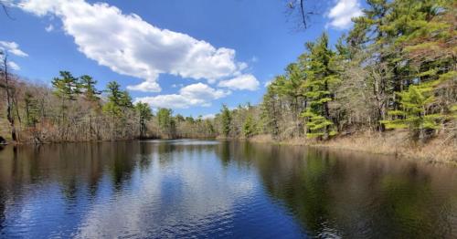 A serene lake surrounded by trees under a blue sky with fluffy clouds, reflecting the landscape on the water's surface.