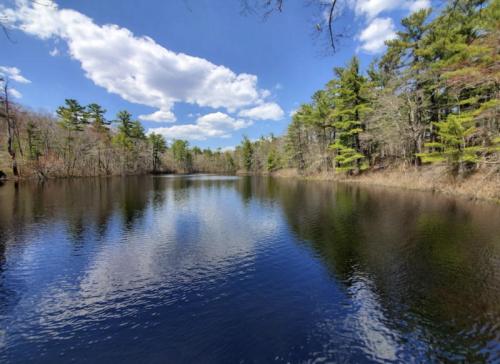 A serene lake surrounded by trees under a blue sky with fluffy clouds, reflecting the landscape on the water's surface.