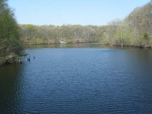 A serene lake surrounded by lush green trees under a clear blue sky.