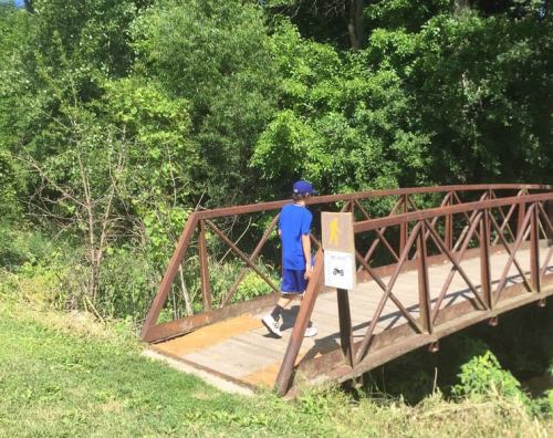 A child in a blue outfit walks across a small metal bridge surrounded by greenery.