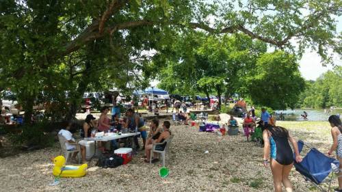A lively beach scene with people enjoying a sunny day, picnicking, and relaxing by the water under trees.