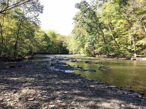 A serene river flows through a wooded area, surrounded by green trees and rocky banks under a clear blue sky.