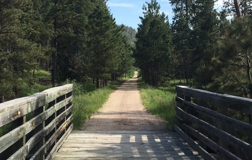A wooden bridge leads to a dirt path surrounded by tall green trees under a clear blue sky.