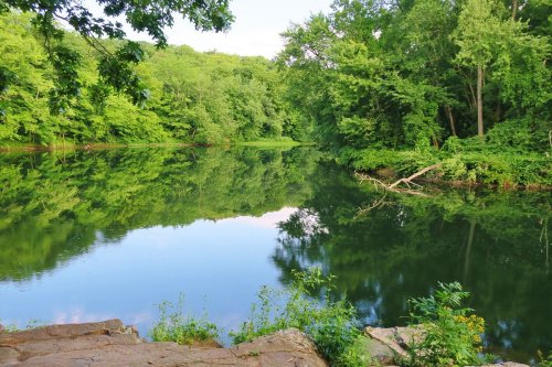 A serene river scene surrounded by lush green trees, reflecting the landscape in calm water.