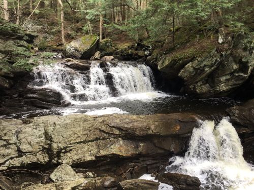 A serene waterfall cascades over rocks, surrounded by lush green trees in a tranquil forest setting.