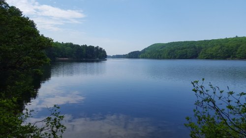 A serene lake surrounded by lush green trees under a clear blue sky, reflecting the landscape on its calm surface.