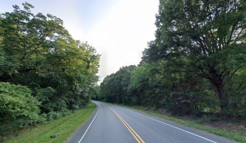 A winding road surrounded by lush green trees on both sides under a clear sky.