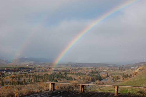 A vibrant rainbow arcs over a scenic landscape with rolling hills and a river, framed by trees and distant wind turbines.