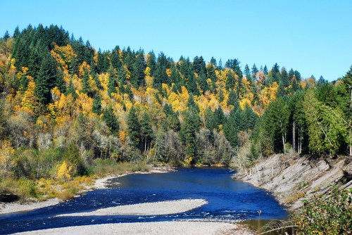 A serene river flows through a forest with vibrant autumn foliage, featuring yellow and green trees under a clear blue sky.