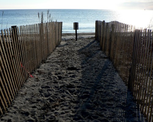 Pathway through wooden fencing leading to a sandy beach and calm ocean under a bright sky.