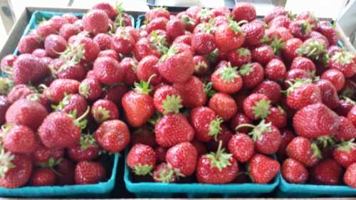 Two baskets overflowing with fresh, ripe strawberries, showcasing their vibrant red color and green tops.