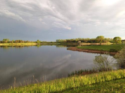 A serene lake surrounded by lush greenery and trees under a cloudy sky, reflecting the landscape in the water.