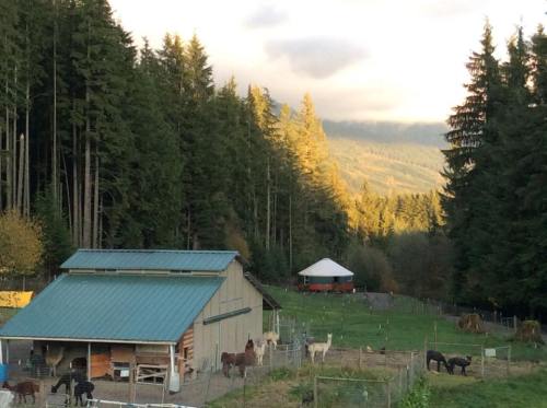 A scenic view of a farm with a barn, horses, and llamas, surrounded by tall trees and mountains in the background.
