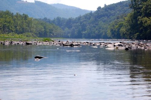 A serene river scene with calm water, rocky banks, and lush green trees under a clear blue sky.