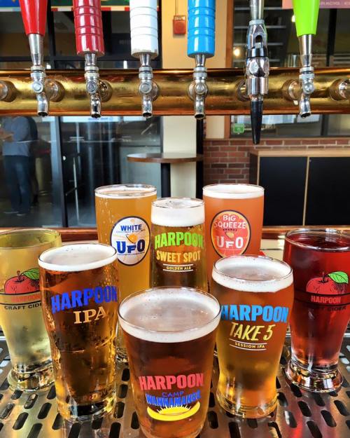 A variety of colorful beer glasses lined up on a bar, featuring different Harpoon beer labels and styles.