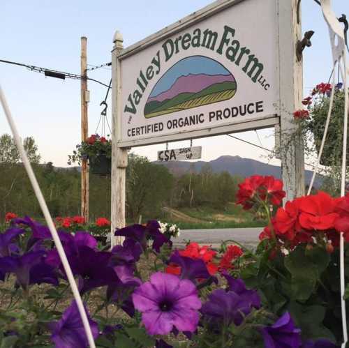 Sign for Valley Dream Farm with colorful flowers in the foreground, promoting certified organic produce.