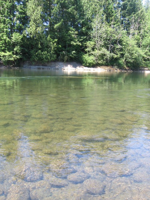 A serene river scene with clear water reflecting trees and a rocky shoreline under bright sunlight.