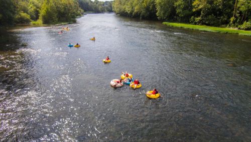 People floating on colorful inner tubes in a river surrounded by lush greenery.