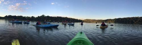A group of kayakers paddling on a calm lake surrounded by trees during sunset.