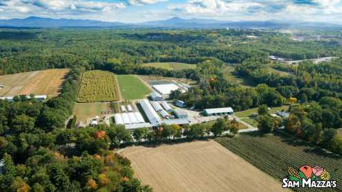 Aerial view of a farm surrounded by trees and fields, with mountains in the background and clear blue skies.