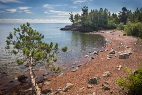 A serene lakeshore with a sandy beach, scattered rocks, and lush greenery under a clear blue sky.