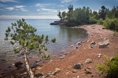 A serene lakeshore with a sandy beach, scattered rocks, and lush greenery under a clear blue sky.