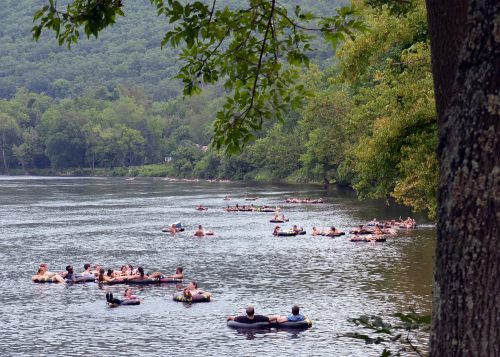 People floating on inner tubes in a river surrounded by lush greenery and hills.