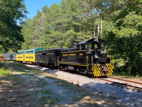 A black and yellow train engine pulls colorful passenger cars along a tree-lined track on a sunny day.