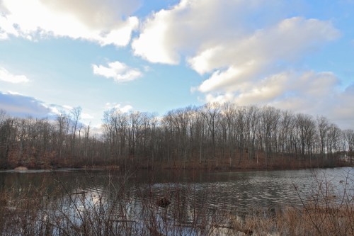 A serene lake surrounded by bare trees under a cloudy sky, reflecting the tranquil landscape.