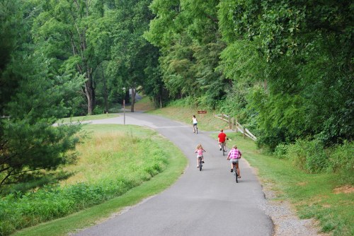 Four children ride bicycles along a winding road surrounded by lush green trees and grass.