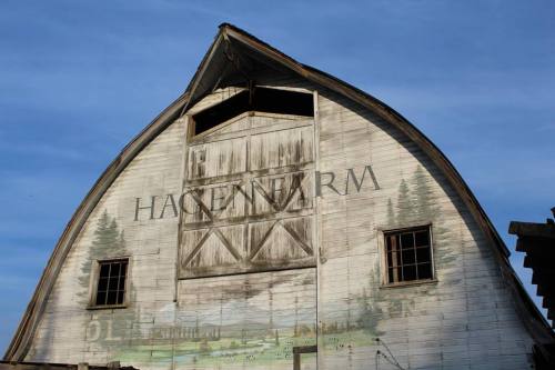 A weathered barn with a mural and the text "Hagen Farm" on its side, set against a blue sky.
