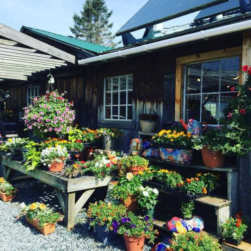 A vibrant garden shop with colorful flower pots and hanging plants, set against a rustic wooden building.