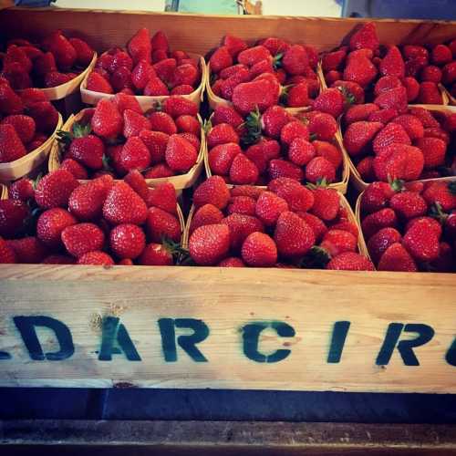 A wooden crate filled with fresh, vibrant red strawberries in small containers.