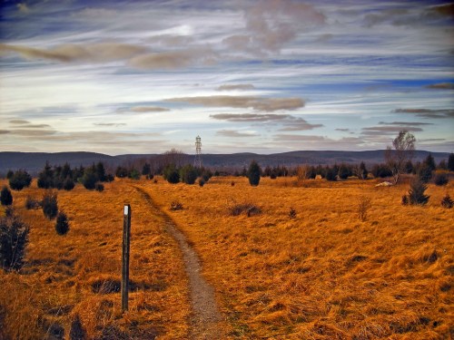 A winding path through a golden grassy field, with distant hills and a power line under a cloudy sky.