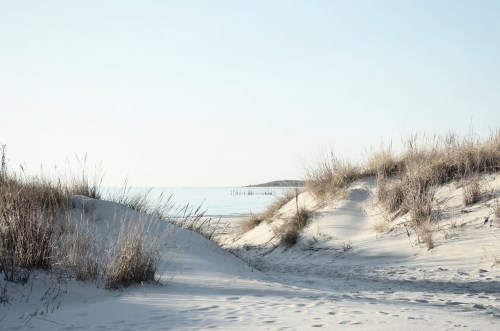A serene beach scene with soft sand dunes, tall grasses, and a calm ocean in the background under a clear sky.