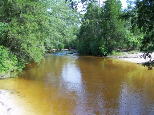 A serene river flows through a lush green landscape, surrounded by trees and sandy banks.